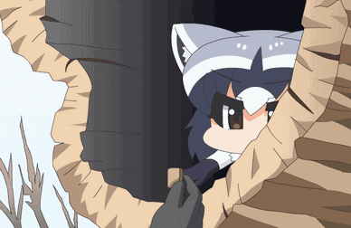 Raccoon  ( Kemono Friends )