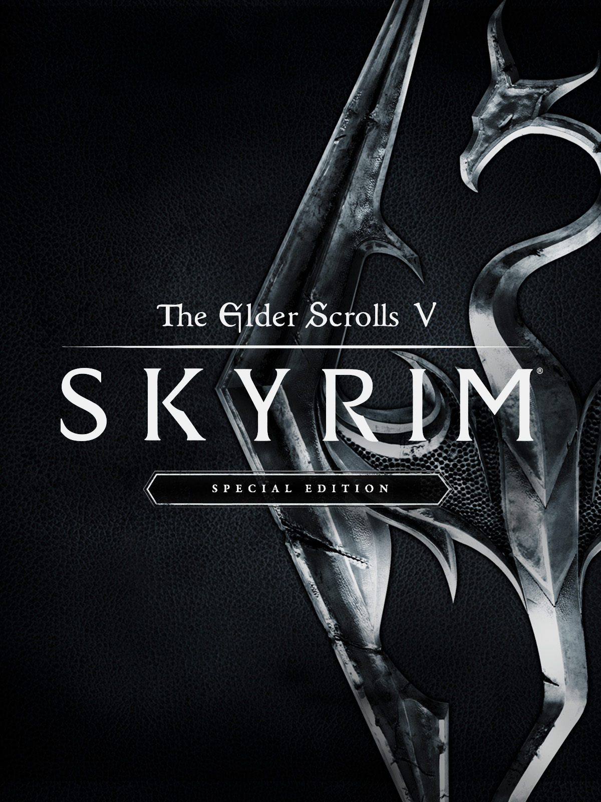 The Elder Scrolls V. Skyrim Special Edition