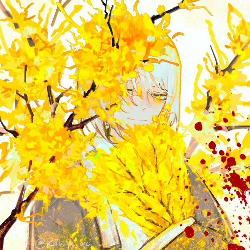Dongbaek 🏵️