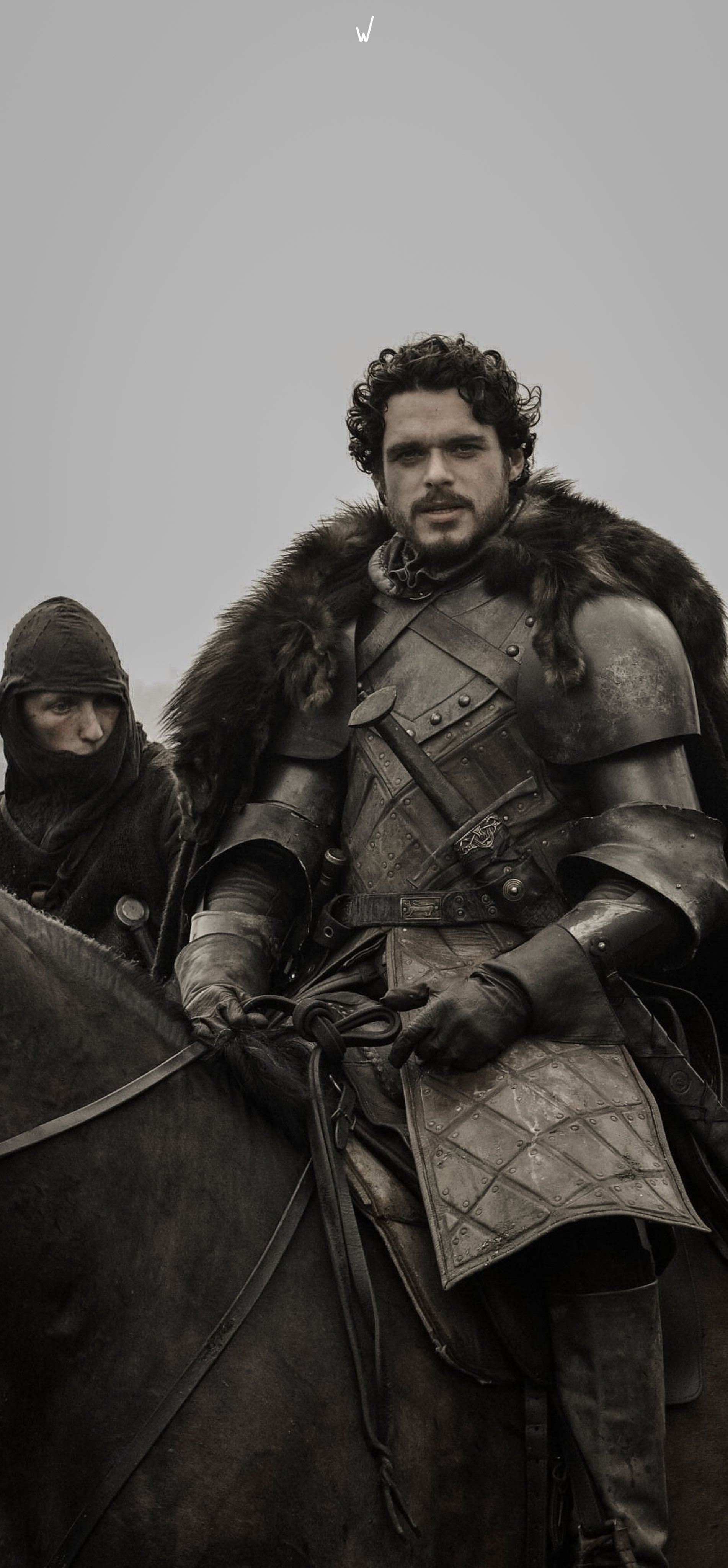 Robb Stark (The Young Wolf)