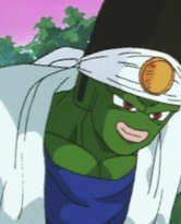 Pikkon