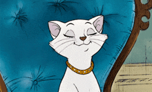 Duchess