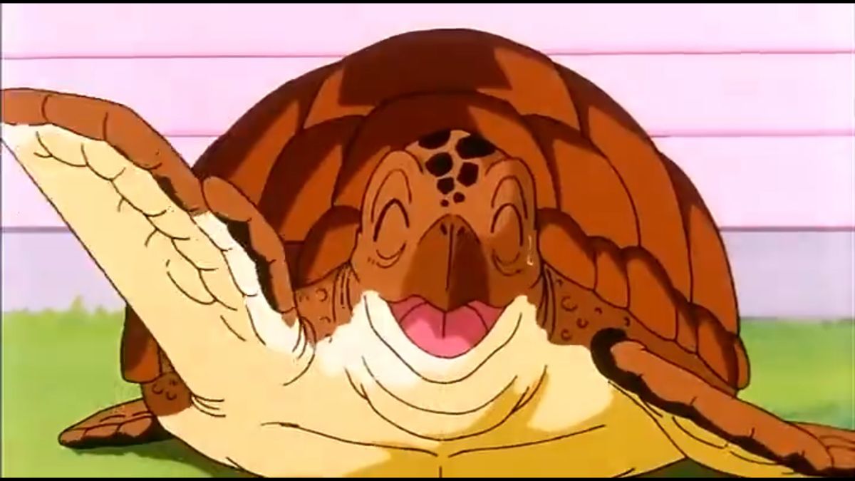 Turtle