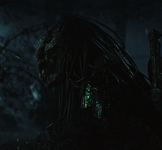 Predator