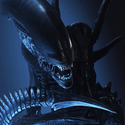 Xenomorph