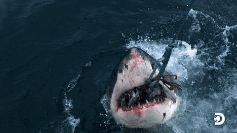 Bruce (Jaws)