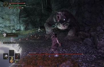 Orso Runico