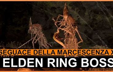 Seguaci Marcescenza
