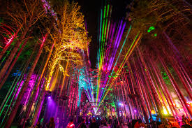 Electric Forest - Michigan
