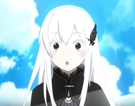 Echidna