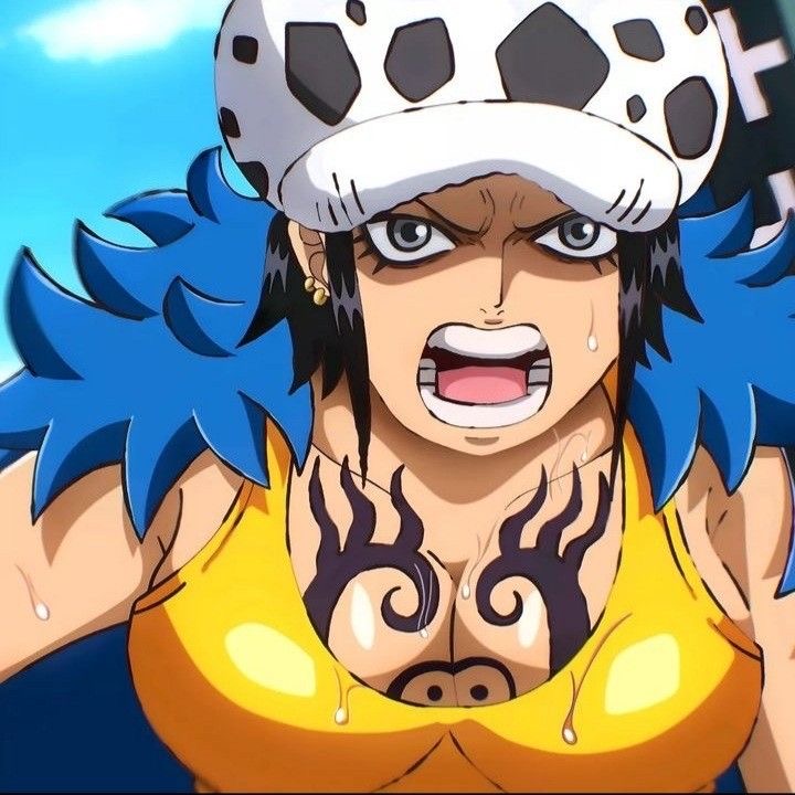 Law