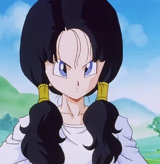 Videl 