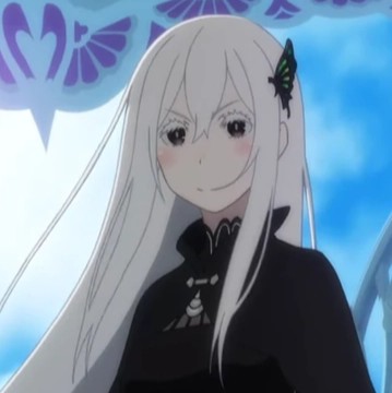 Echidna