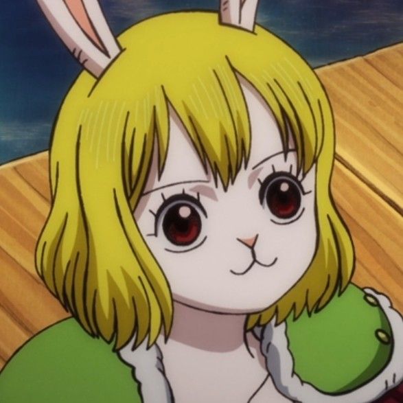 Carrot