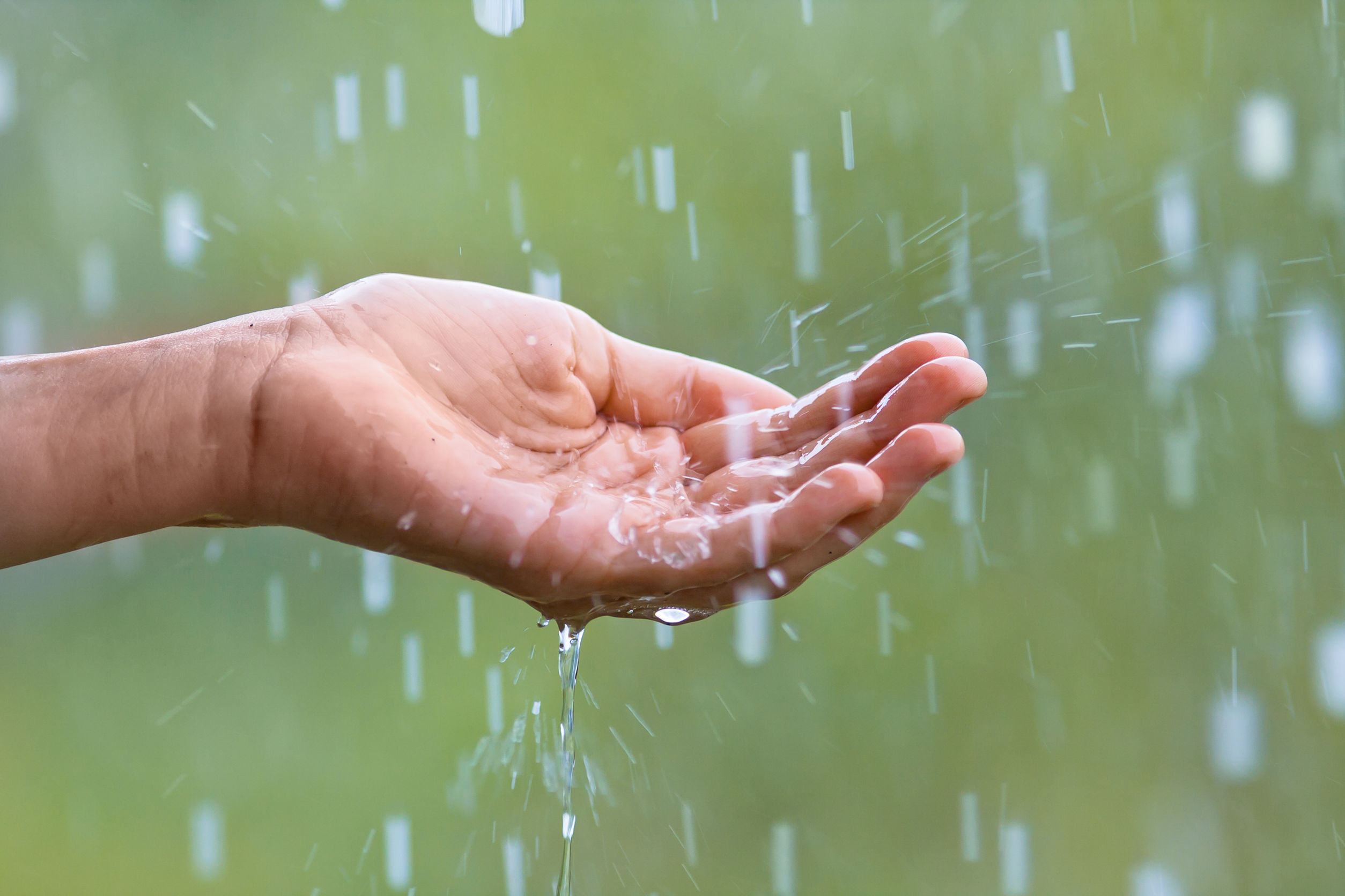 A Gentle Rain