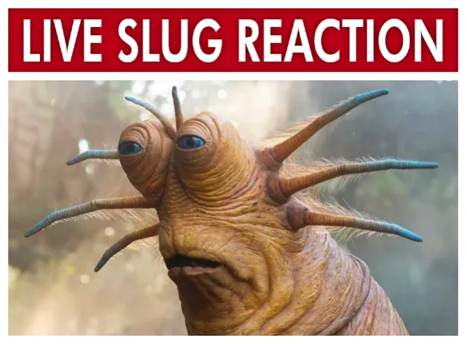 Live Slug Reaction