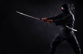 A Ninja