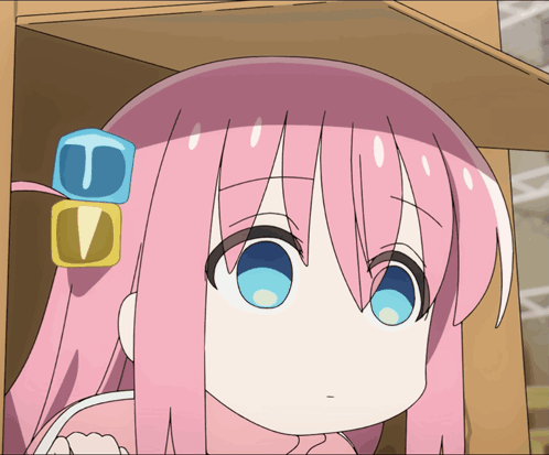 Bocchi