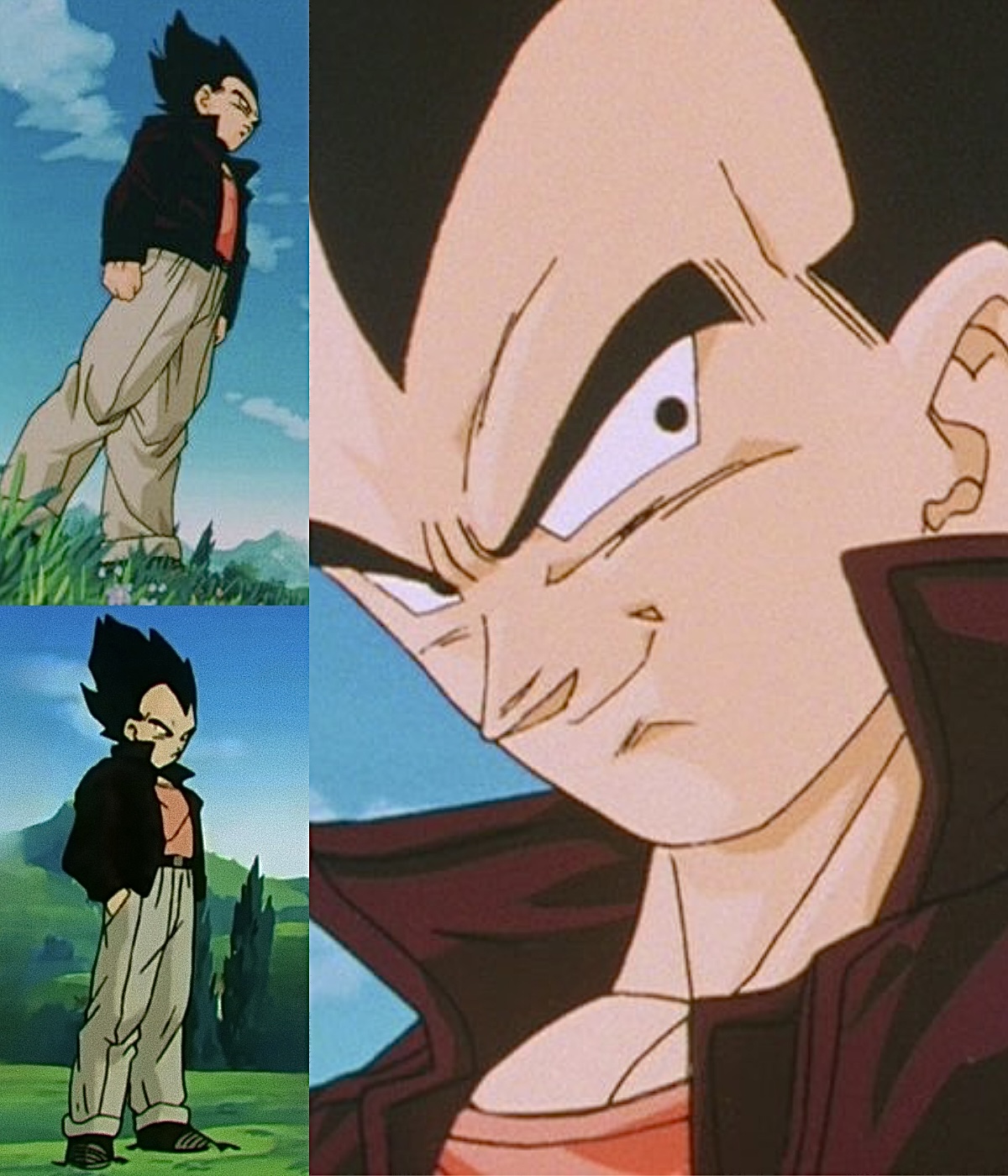 Vegeta (End Of Z Outfit)