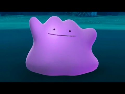 Ditto