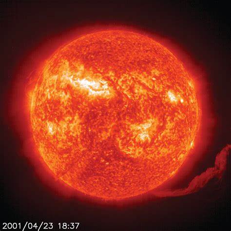 Sun Brother