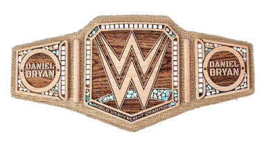 WWE Championship (Eco-Friendly Daneil Bryan) ('19)