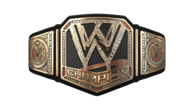 WWE World Heavyweight Championship / WWE Championship ('13-'14)
