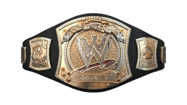WWE Championship (Spiner Belt John Cena) ('05-'13)