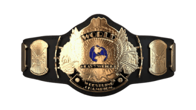 WWF Championship / WWF World Heavyweight Championship ('89-'98)