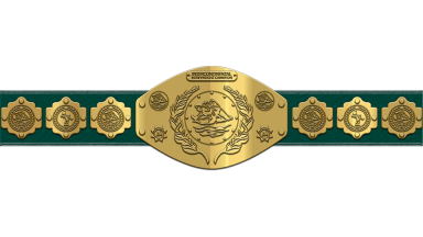 WWF Intercontinental Heavyweight Championship ('84-'85)
