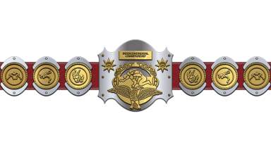 WWF Intercontinental Heavyweight Championship ('79-'84)