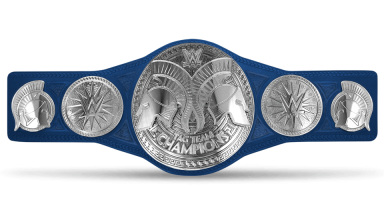 WWE Smackdown Tag Team Championship ('16-'24)