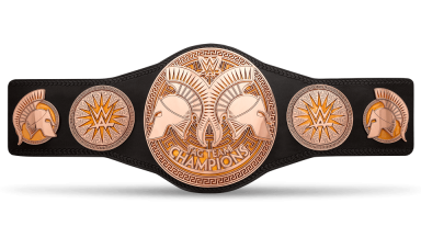 WWE Raw Tag Team Championship / WWE Tag Team Championship ('14-'16)