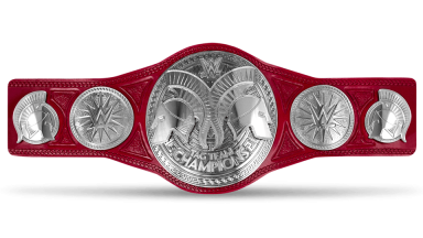 WWE Raw Tag Team Championship ('16-'24)