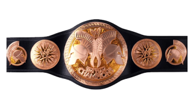 WWE Tag Team Championship ('10-'14)