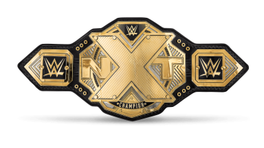 NXT Championship ('17-'22)