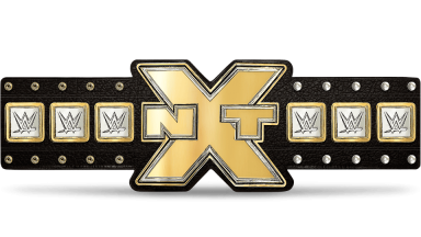 NXT Championship ('14-'17)
