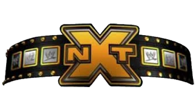 NXT Championship ('12-'14)