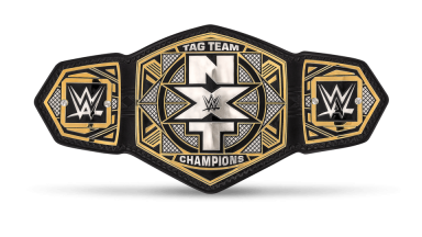 NXT Tag Team Championship ('14-'17)