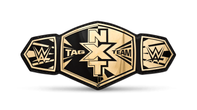 NXT Tag Team Championship ('14-'17)