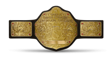 WWE World Heavyweight Championship / WWE World Championship ('02-'13)