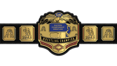 ECW World Heavyweight Championship / NWA-ECW Heavyweight Championship / Heavyweight ('92-96)