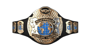 WCW World Heavyweight Championship ('91-'94)