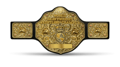 WWF World Championship / WCW Championship /WCW World Heavyweight Championship ('91-'01)