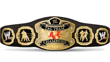 WWE World Tag Team Championship ('02-'10)