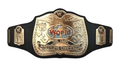 WWE World Tag Team Championship / WWE Tag Team Championships ('02)