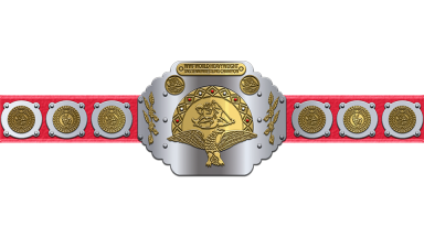 WWF Tag Team Championship / World Tag Team Championship ('82-'85)