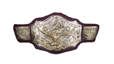 NWA World Tag Team Championship ('80-'87)