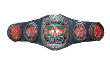 NWA Television Championship / NWA Mid-Atlantic Television Championship ('74-'77)