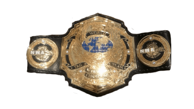 NWA World Tag Team Championship ('13-'17)